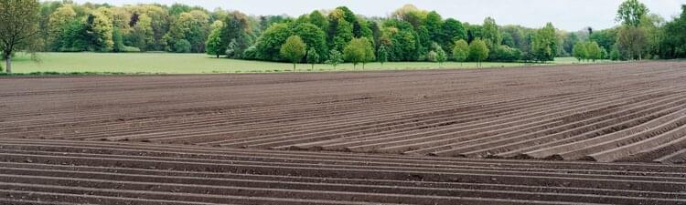 Als Helfer/in Landwirtschaft arbeiten (Aufgaben & Tätigkeiten) | Jobted